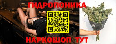 бошки Боровичи
