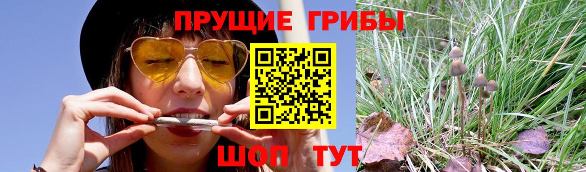 Псилоцибиновые грибы прущие грибы  Вход с VPN  Белорецк 